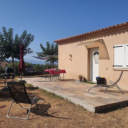 Studio Mitoyen A La Campagne Vue Sur La Mer Cargèse Exteriér fotografie