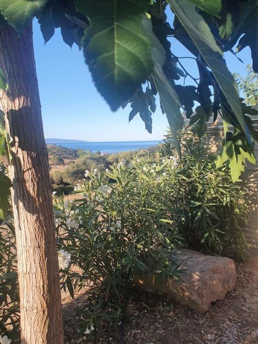 Studio Mitoyen A La Campagne Vue Sur La Mer Cargèse Exteriér fotografie