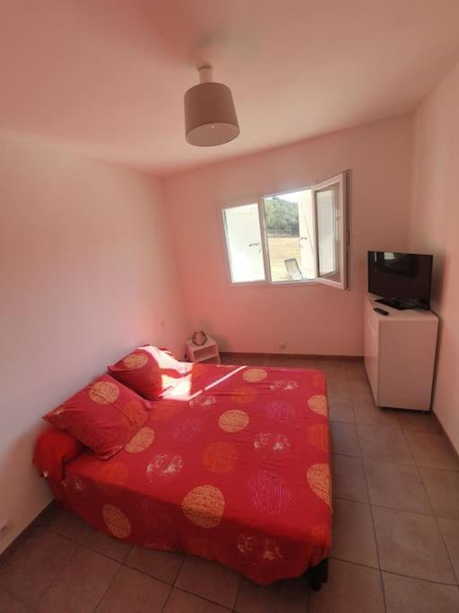 Studio Mitoyen A La Campagne Vue Sur La Mer Cargèse Exteriér fotografie